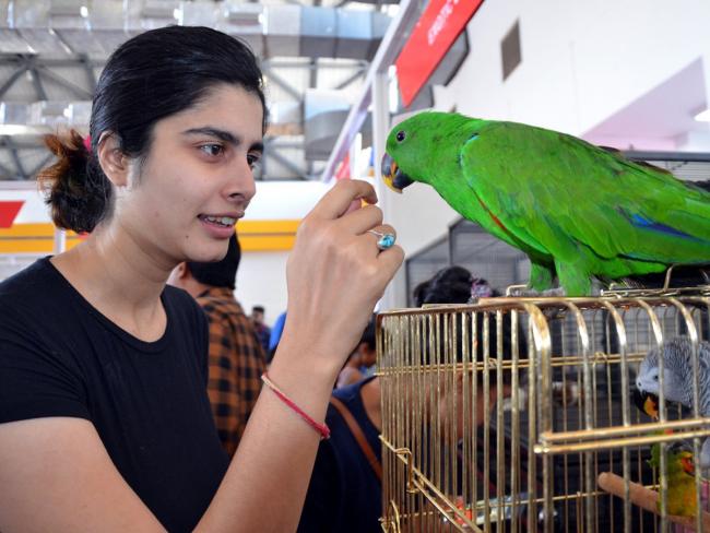 Sakshi Post